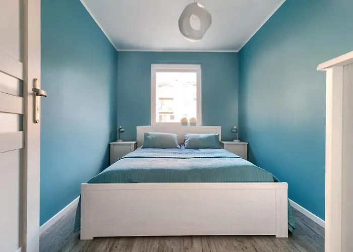 Superiore * 드지우노웨크