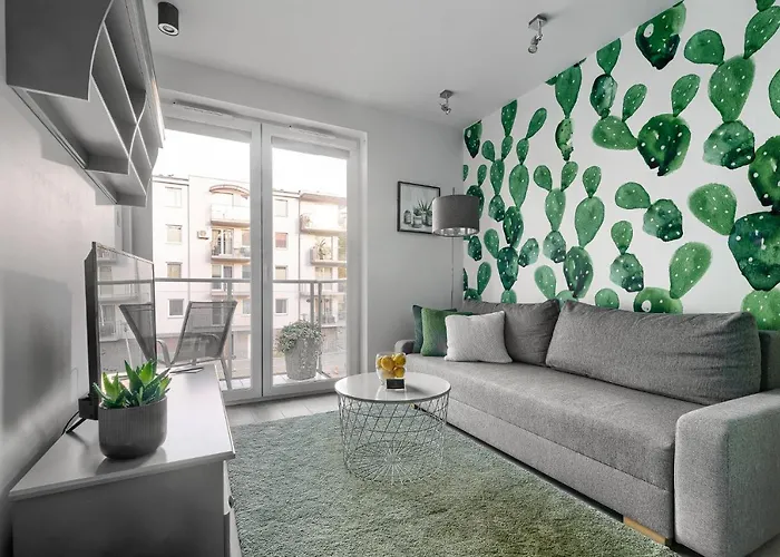 Superiore * 드지우노웨크