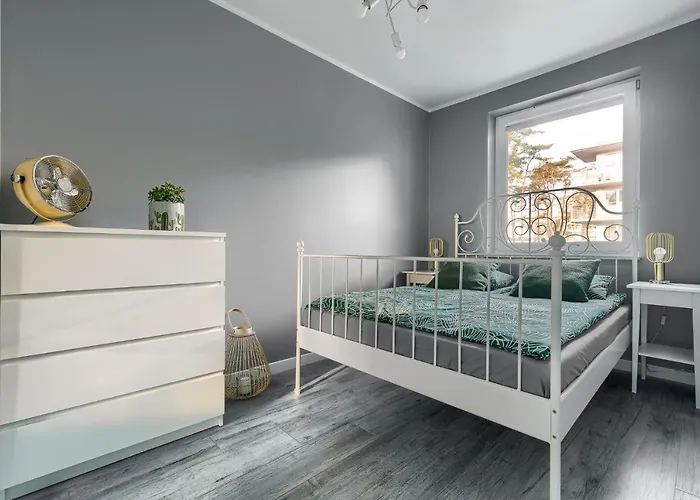 Superiore * 드지우노웨크